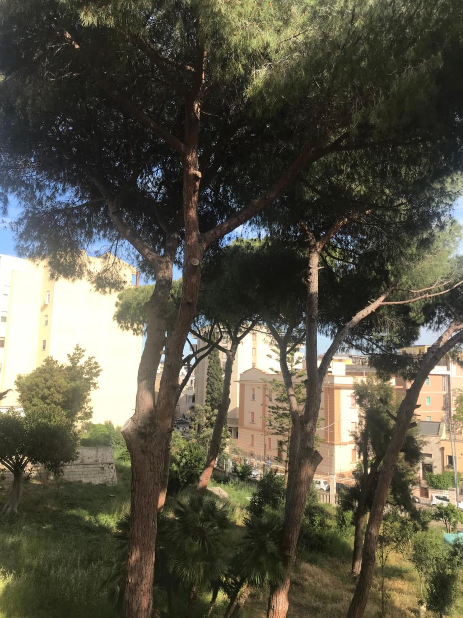 Villa San Giuseppe Brindisi Esterno foto